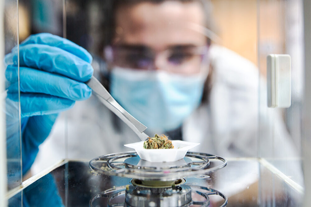 Mccallum Testing Lab Testing With MCR New York :: New York
